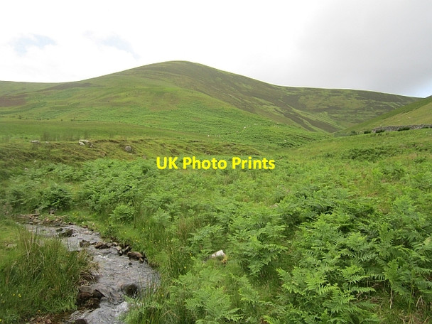 Photo 6"x4" Fingland Burn Glenbreck c2012