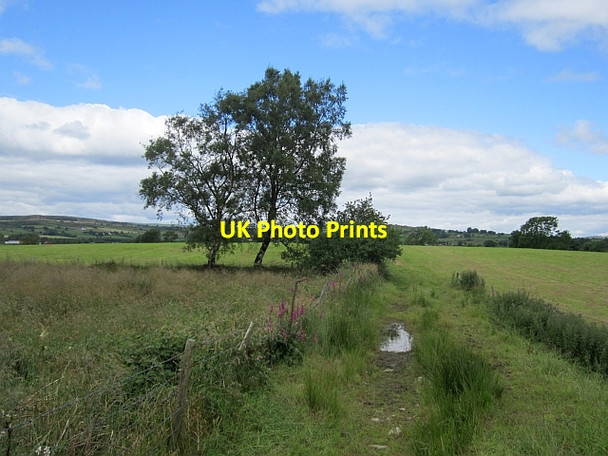 Photo 6"x4" Field access track, Gortnagross Killen\/H2480 c2012