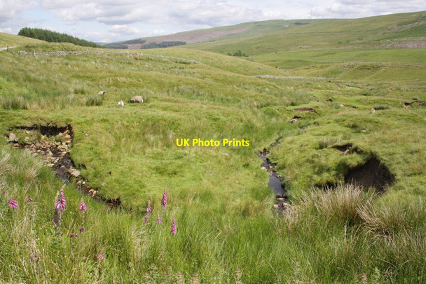 Photo 6"x4" Beldie Gill south of the track to Widdale Widdale Beck c2012