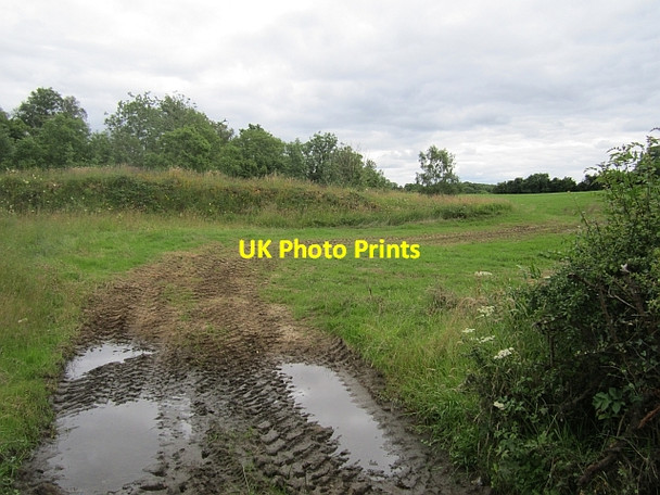 Photo 6"x4" A wet field Pettigoe c2012