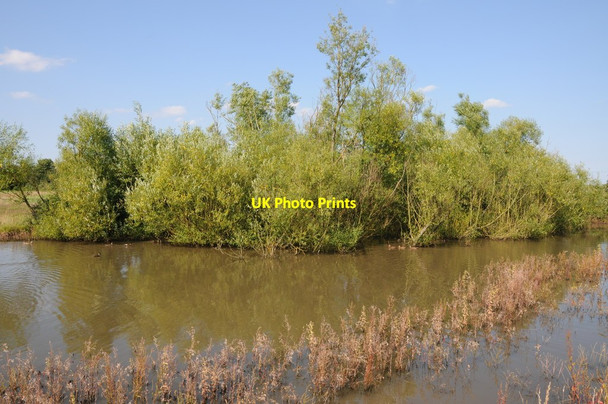 Photo 6"x4" Pool near New House Farm Elmley Lovett c2012