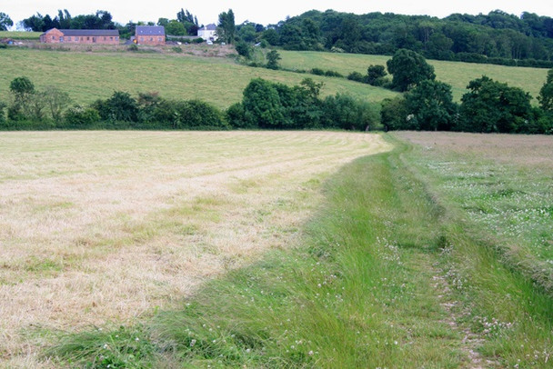 Photo 6"x4" The Midshires Way Heads Toward Constitution Hill Dale Moor c2008