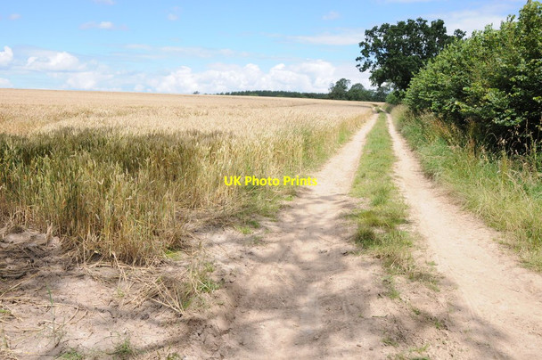 Photo 6"x4" Wheat field near Haye Farm Mappleborough Green c2012