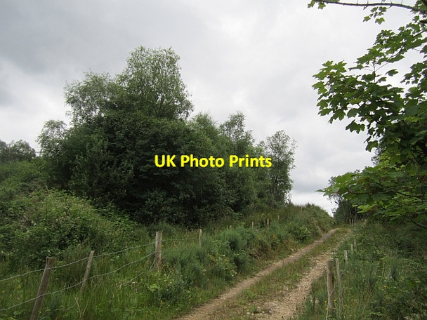 Photo 6"x4" Farm track Pettigoe c2012