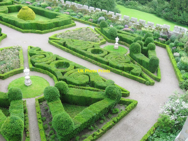 Photo 6"x4" Intricate hedging in the Formal Garden, Chillingham Castle Chillingham c2012