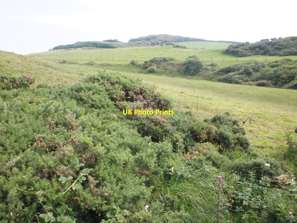 Photo 6"x4" The coast, near Cornborough Rickard's Down c2012