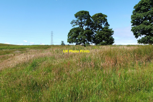 Photo 6"x4" The site of Carman House Alexandria c2012