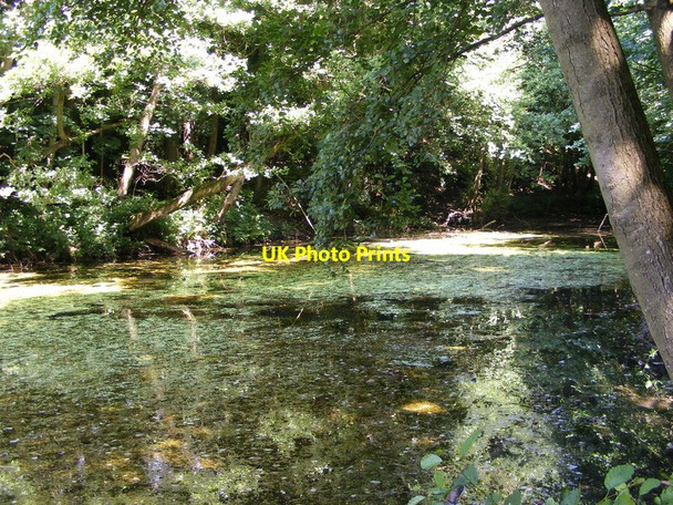 Photo 6"x4" Spring Pool Sedgley c2012