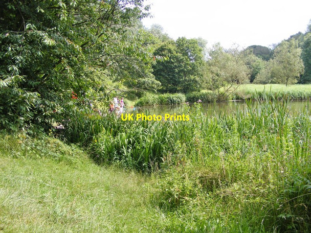 Photo 6"x4" Baggeridge Pond Dip Sedgley c2012