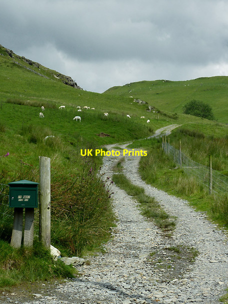 Photo 6"x4" Track to Ty Nant, near Ponterwyd, Ceredigion Ponterwyd c2012