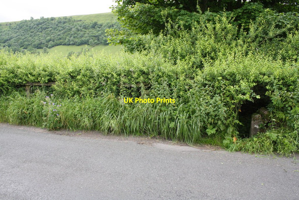 Photo 6"x4" Hedge and gatepost beside B6160 Starbotton c2012
