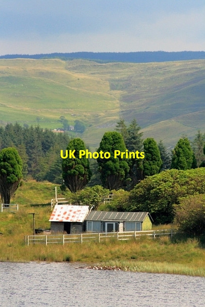 Photo 6"x4" Chalets by Pond Llywernog Llywernog c2012