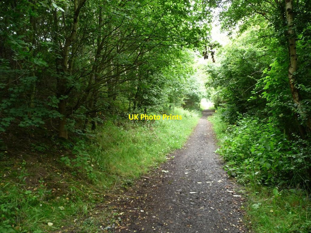 Photo 6"x4" Looking south, below the A628 Hemsworth\/SE4213 c2012