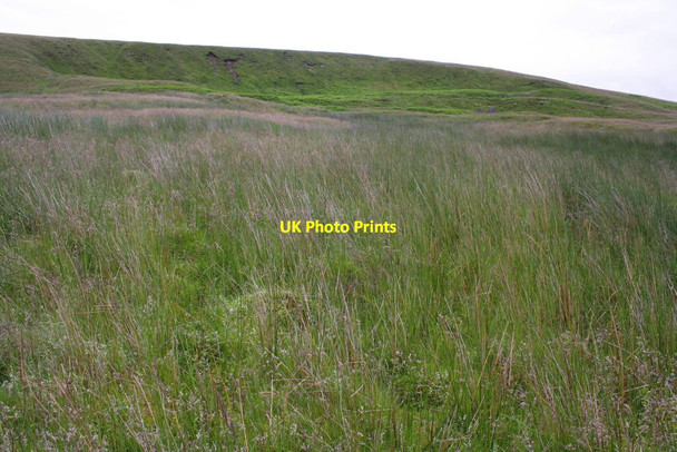 Photo 6"x4" Looking up Harland Hill Walden c2012