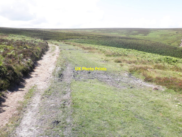 Photo 6"x4" Path above Lank Combe Brendon\/SS7647 c2012