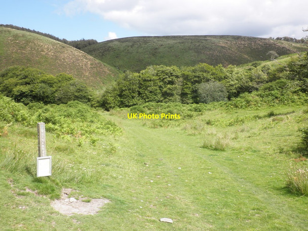 Photo 6"x4" Hoccombe Combe Malmsmead c2012