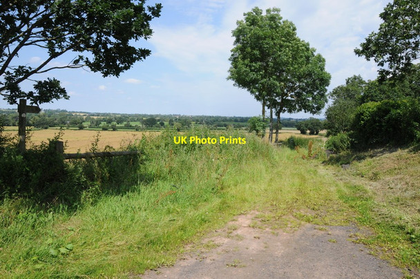 Photo 6"x4" The Monarch's Way, Rushock Rushock\/SO8871 c2012