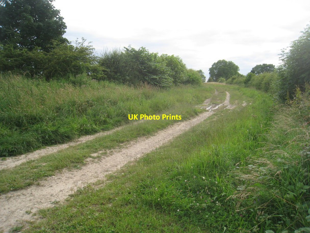 Photo 6"x4" Green Lane, near Sledmere Wetwang c2012