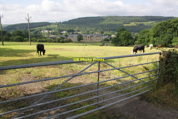 Photo 6"x4" Laythorpe Farm, Sty Lane Bingley\/SE1139 c2012