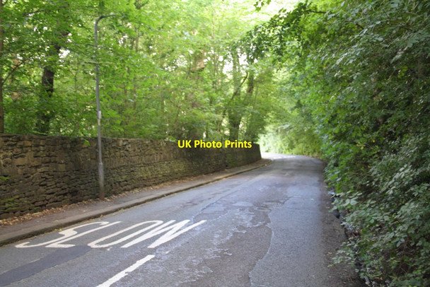 Photo 6"x4" Greenhill Lane Bingley\/SE1139 c2012