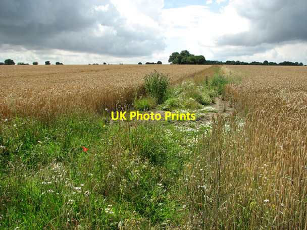 Photo 6"x4" Path through fields south of Bungay Road Stockton\/TM3894 c2012