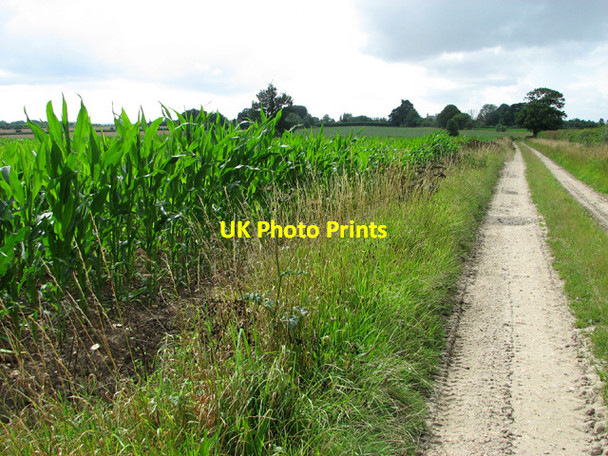 Photo 6"x4" Path to Bungay Road Stockton\/TM3894 c2012