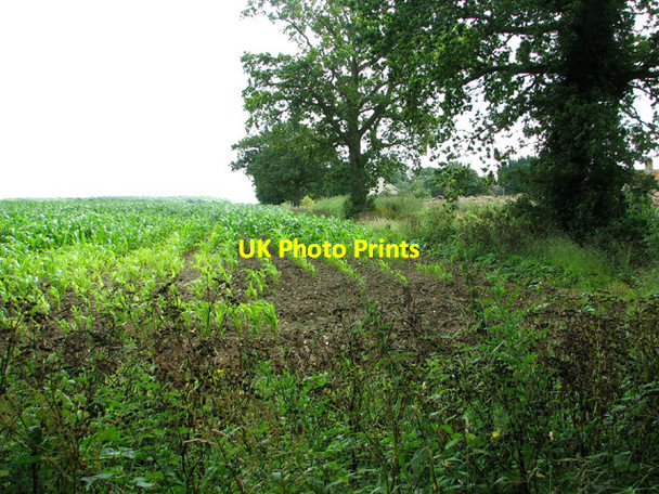 Photo 6"x4" Field boundary near Church Farm, Stockton Stockton\/TM3894 c2012