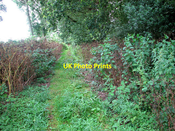 Photo 6"x4" Path from Stockton Stone to Church Farm Stockton\/TM3894 c2012