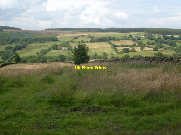 Photo 6"x4" Bridleway near the edge of the forest Hartoft End c2012