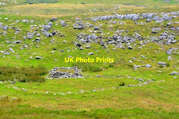 Photo 6"x4" Ruined Sheepfold, Bryn Hir Ffair-Rhos c2012