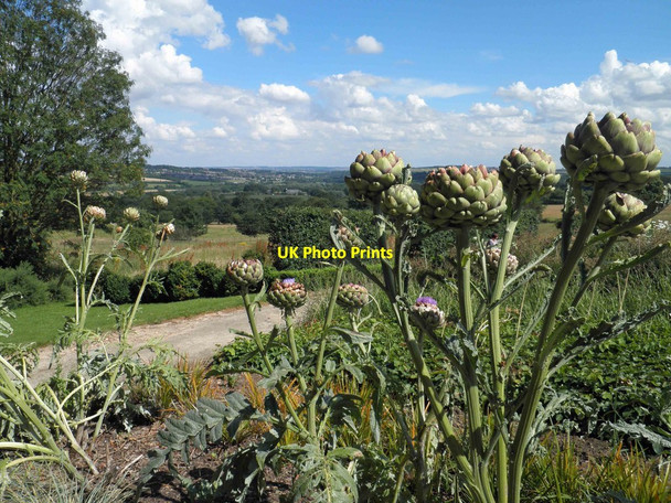 Photo 6"x4" Formal Gardens in front of Wentworth Castle Dodworth Bottom c2012