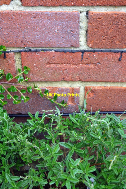 Photo 6"x4" Benchmark on 'Sunways', Otley Road Bingley\/SE1139 c2012