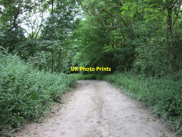 Photo 6"x4" A track leading down to Nafferton Chalk Quarry Ruston Parva c2012