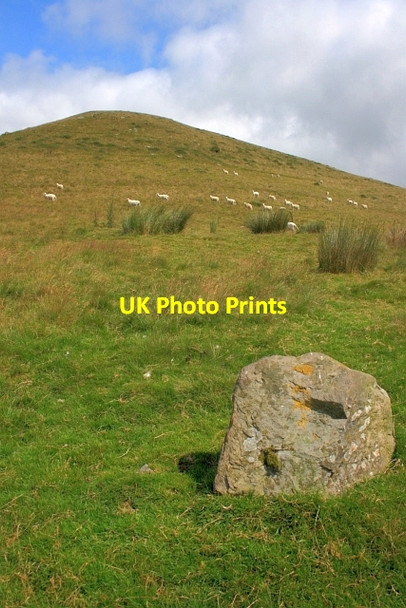 Photo 6"x4" Boulder, Blaen Mwyro Llyn Gorast c2012