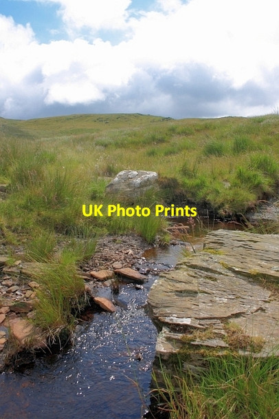 Photo 6"x4" An Infant Afon Myrwo Llyn Gorast c2012