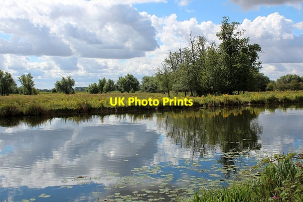 Photo 6"x4" The River Great Ouse Ely\/TL5480 c2012