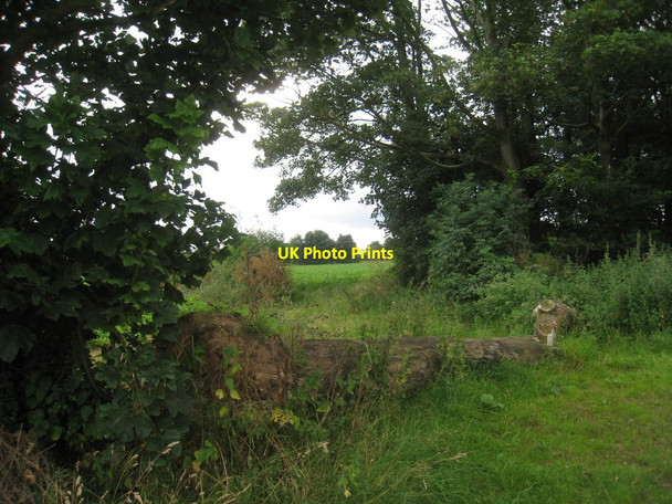 Photo 6"x4" View towards the motorway Loversall c2012