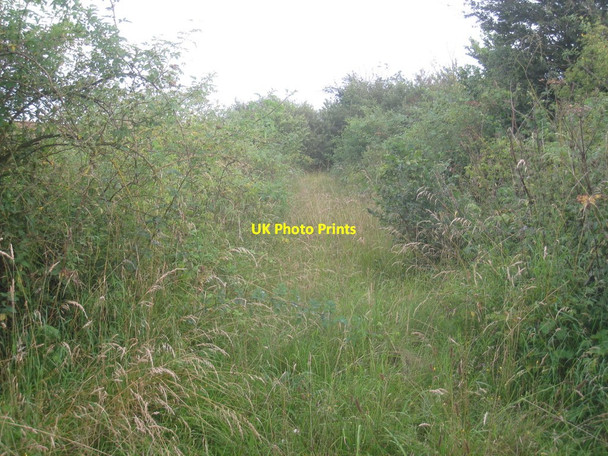 Photo 6"x4" Abandoned track Blaxton\/SE6700 c2012