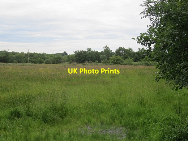 Photo 6"x4" Field near Coolaney Coolaney c2012