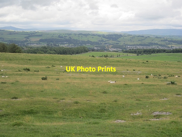 Photo 6"x4" Limestone pasture Kendal c2012