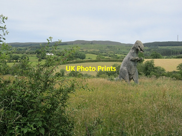 Photo 6"x4" Hay meadow, Shancough Coolaney c2012