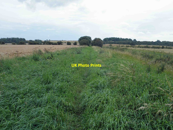 Photo 6"x4" Another little used bridleway Everton\/SK6991 c2012