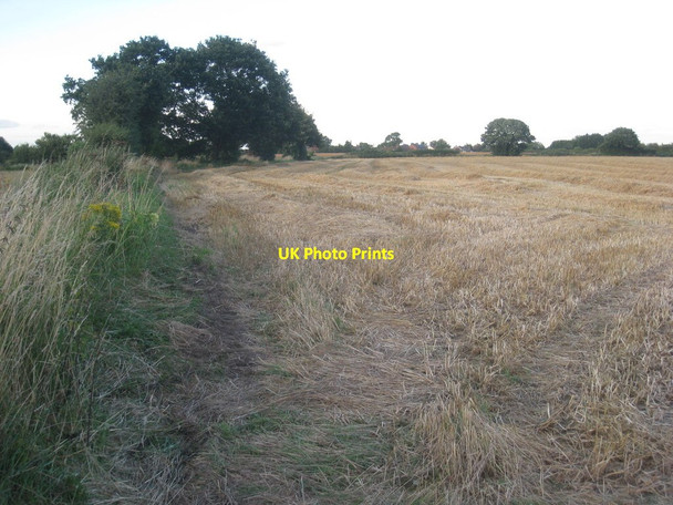 Photo 6"x4" Harvested barley field Stone Hill\/SE6708 c2012