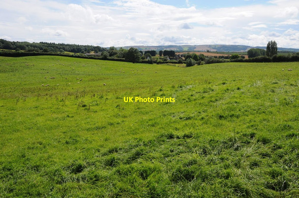 Photo 6"x4" Farmland at Canon Frome Canon Frome c2012