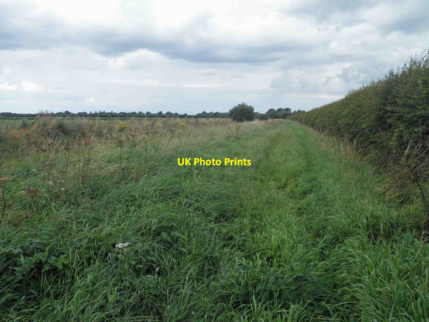 Photo 6"x4" Overgrown bridleway Misson c2012
