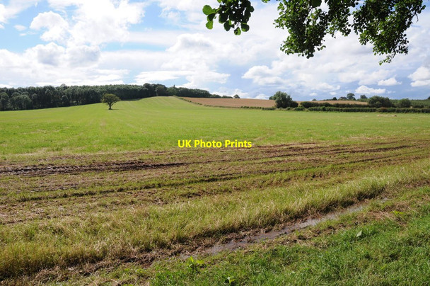 Photo 6"x4" Field near Childer Wood Birchend c2012