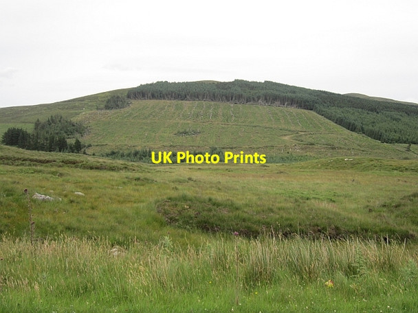 Photo 6"x4" Clear felled area Bunnyconnellan c2012