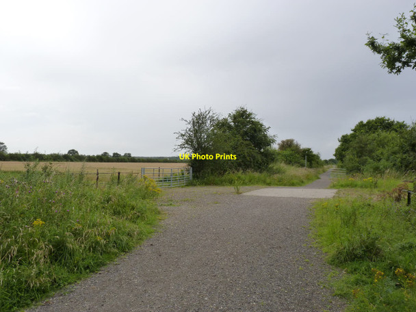 Photo 6"x4" Farm track crossing  Harby\/SK8770 c2012