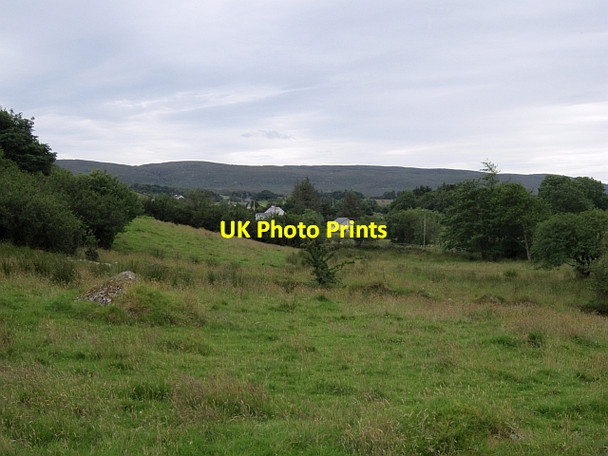 Photo 6"x4" Field, Bunnyconnellan Bunnyconnellan c2012