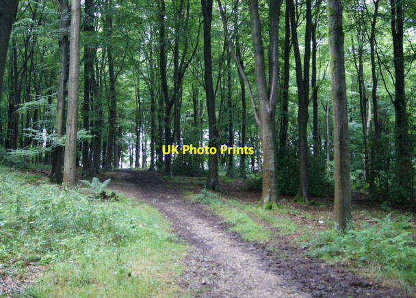 Photo 6"x4" Path towards New Park Farm Medstead c2012
